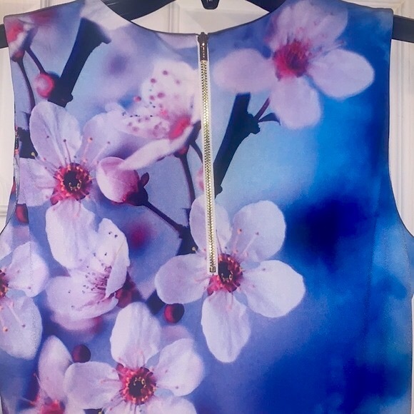 Calvin Klein Blue Bold Floral Sleeveless Dress - Picture 9 of 13